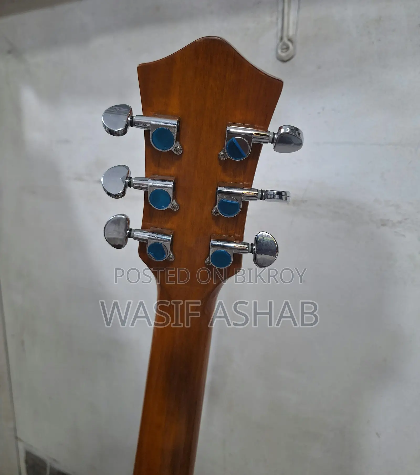 Guitar (Tayste T401-N)