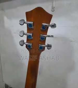 Guitar (Tayste T401-N)