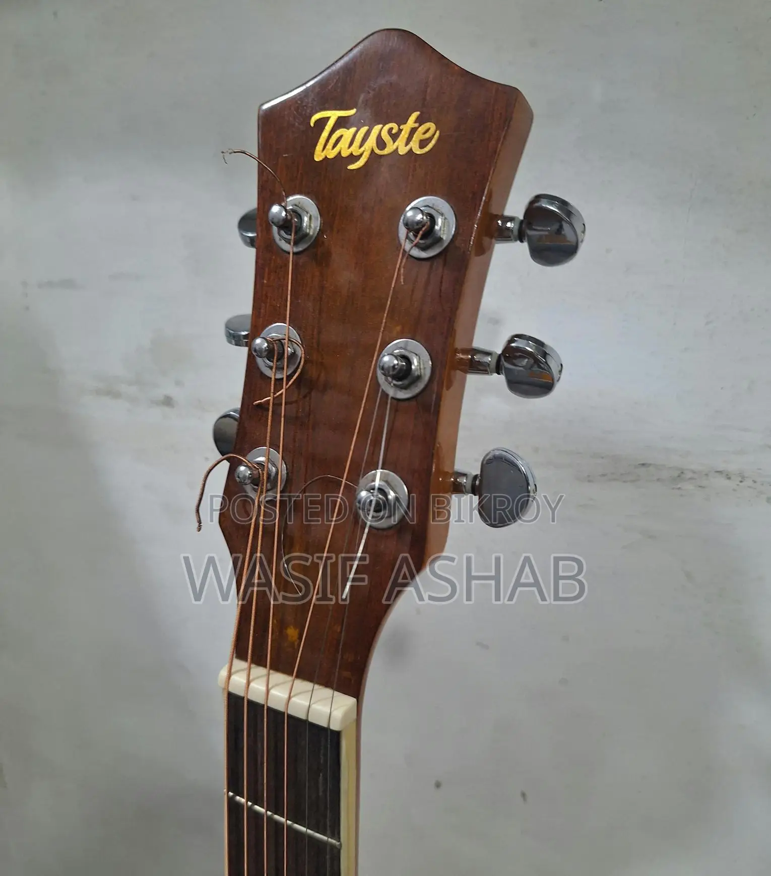 Guitar (Tayste T401-N)