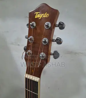 Guitar (Tayste T401-N)
