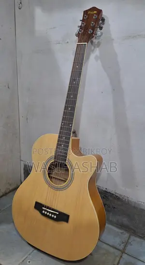 Guitar (Tayste T401-N)
