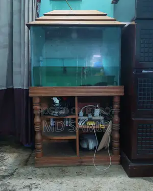 (1.5-2.5) Feet Aquarium