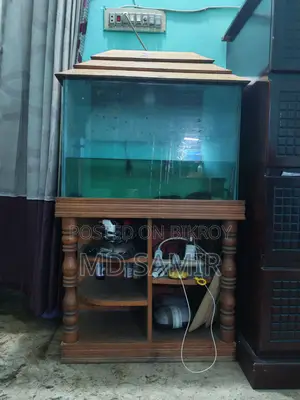 (1.5-2.5) Feet Aquarium