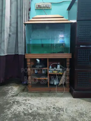 (1.5-2.5) feet aquarium