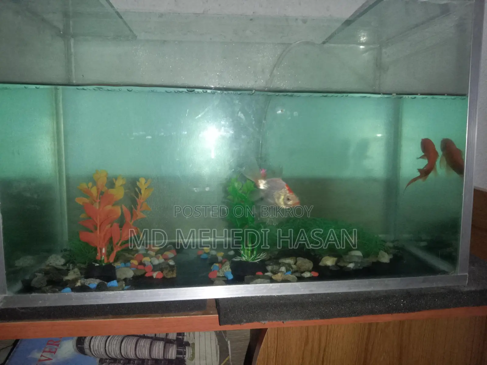 Aquriam Sell