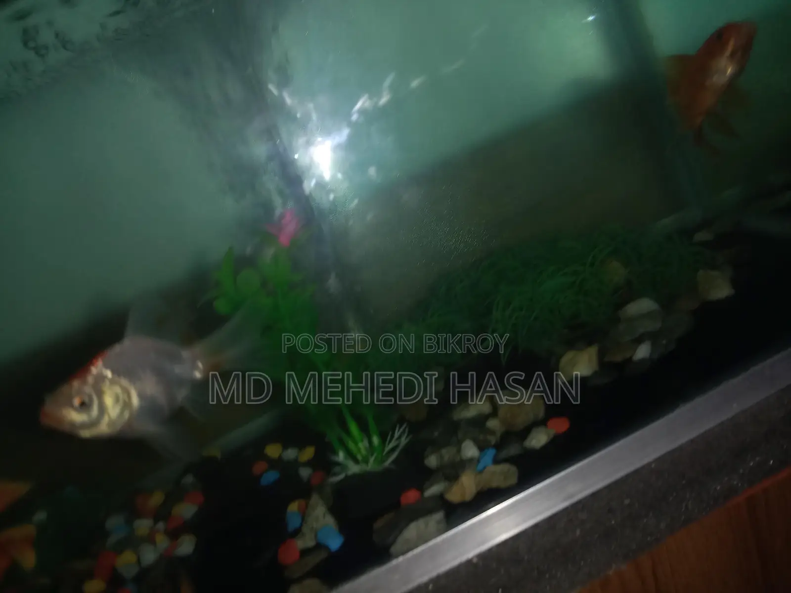 Aquriam Sell