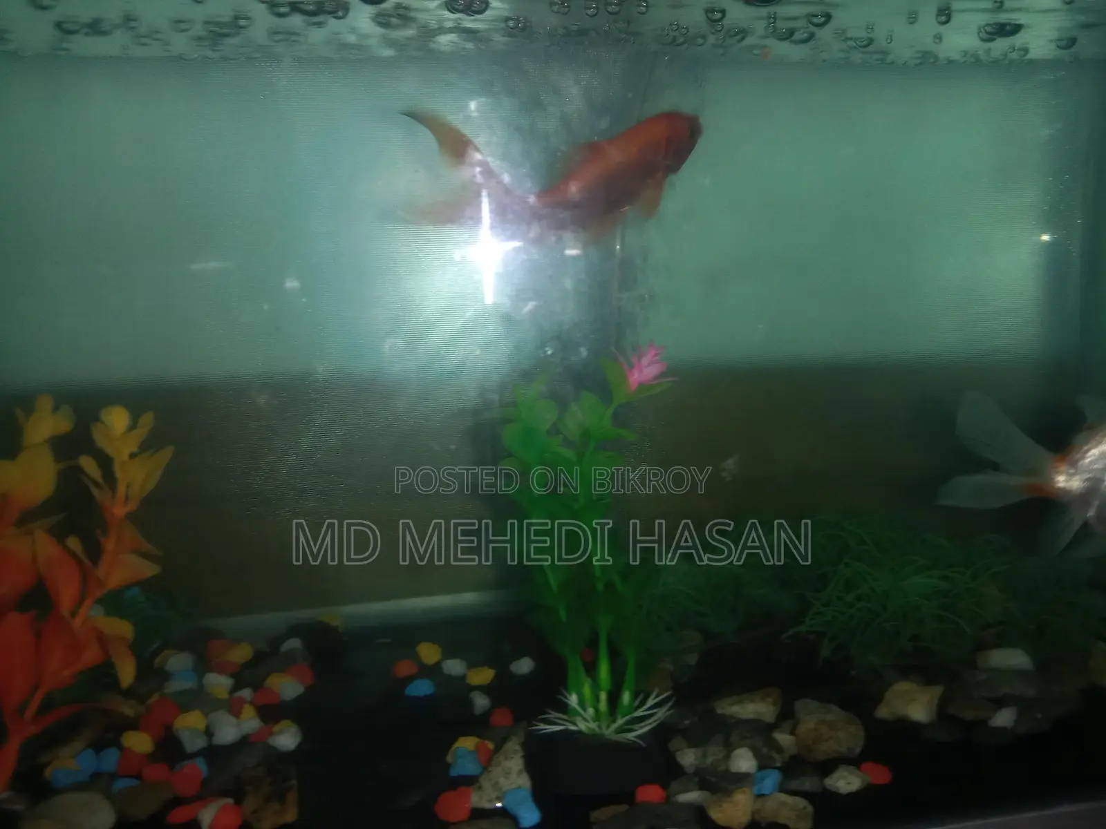 Aquriam Sell