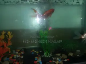 Aquriam Sell
