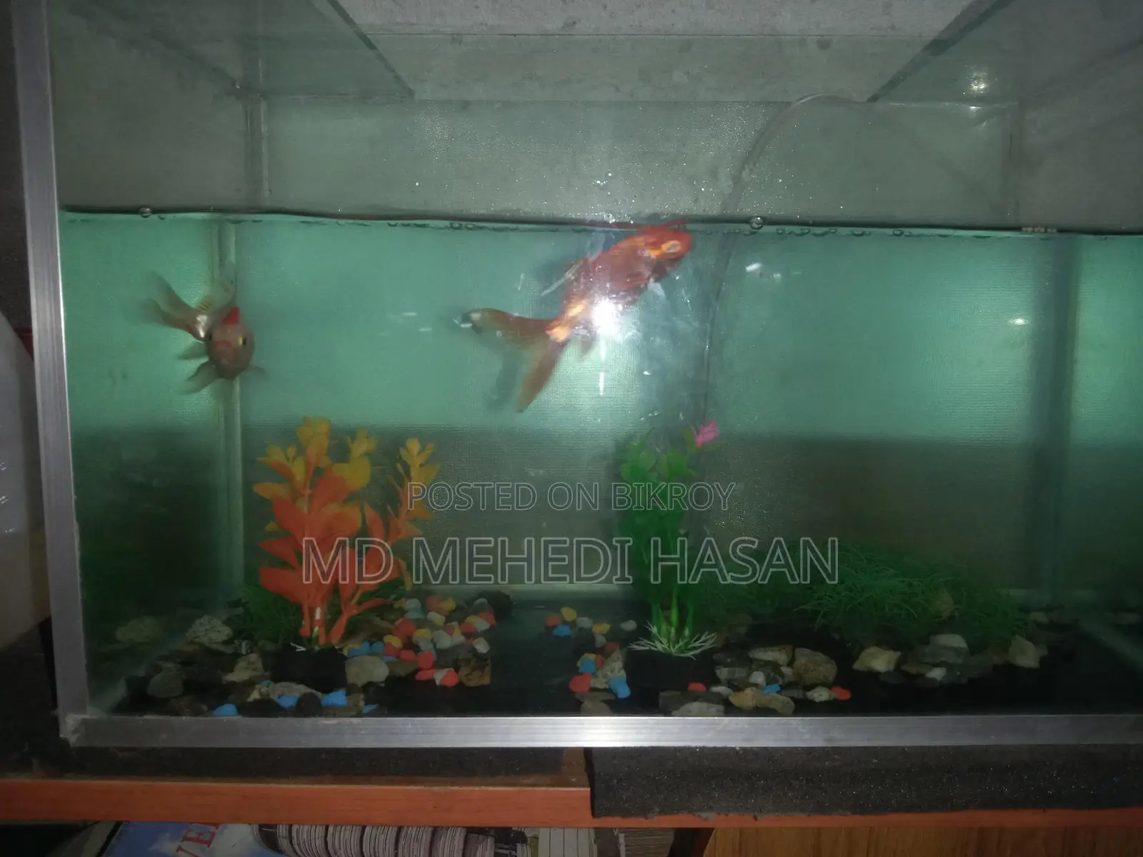 Aquriam Sell