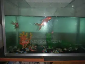Aquriam Sell