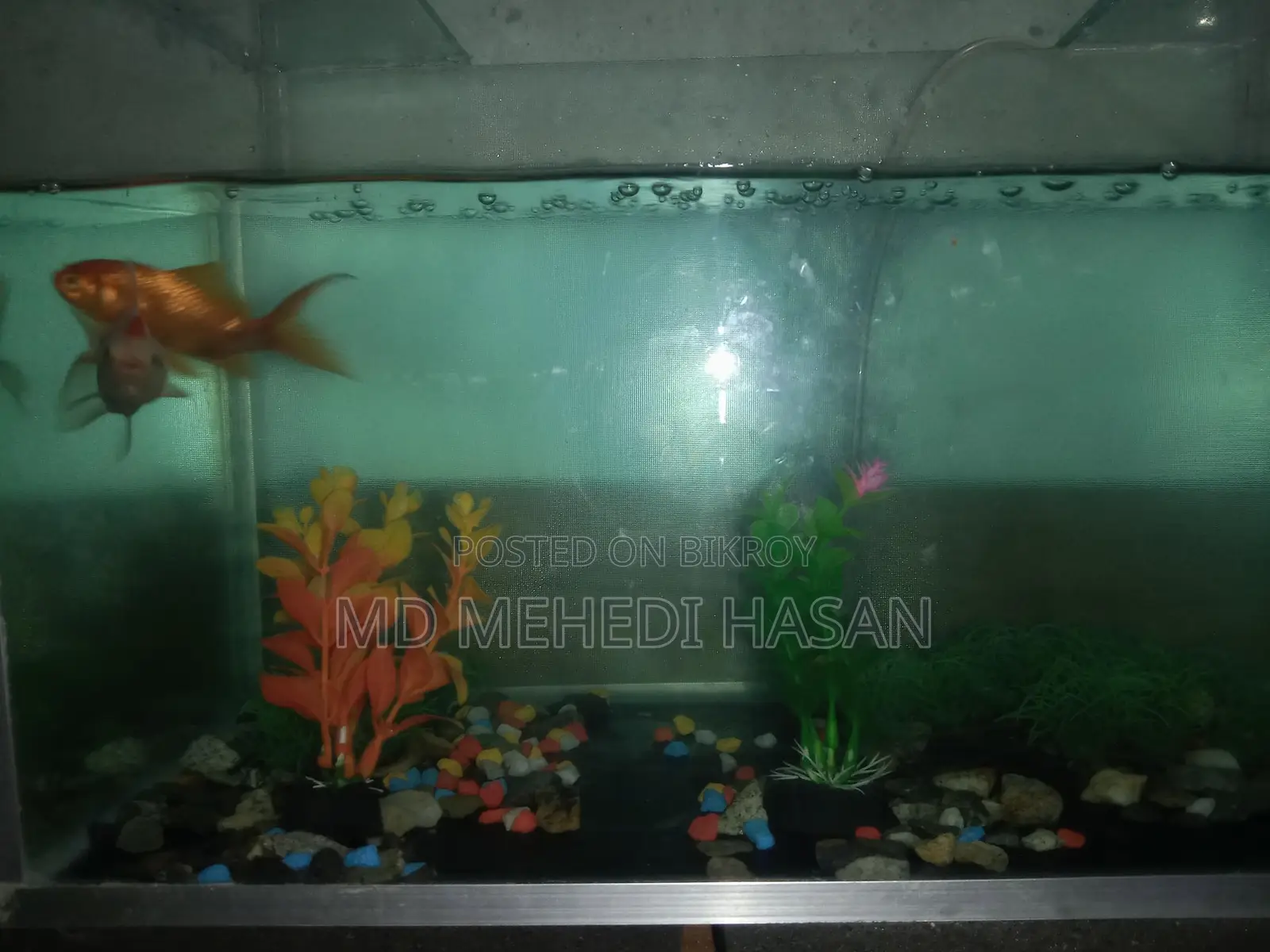 Aquriam Sell