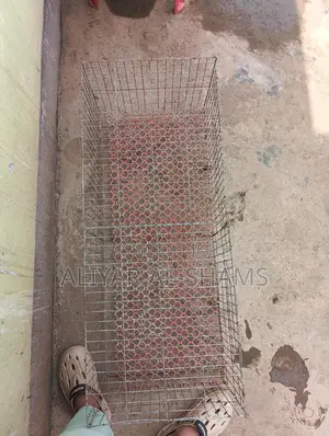 বড় খাঁচা