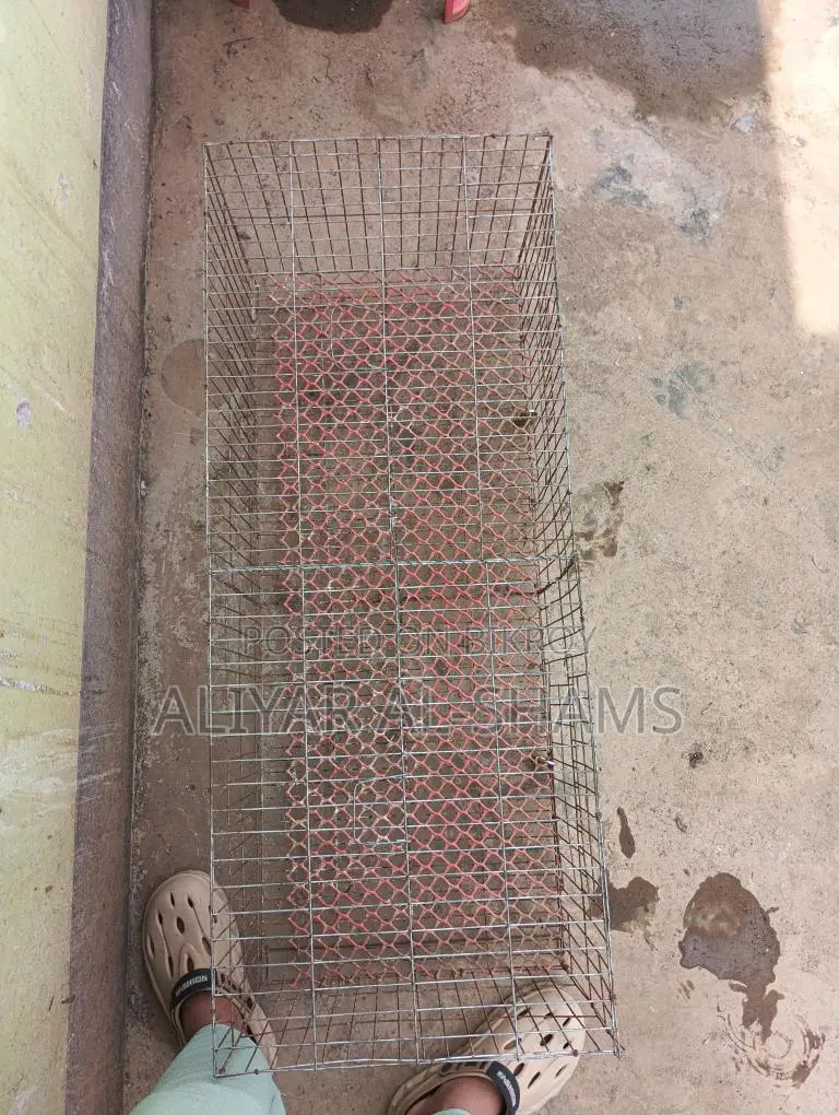 বড় খাঁচা