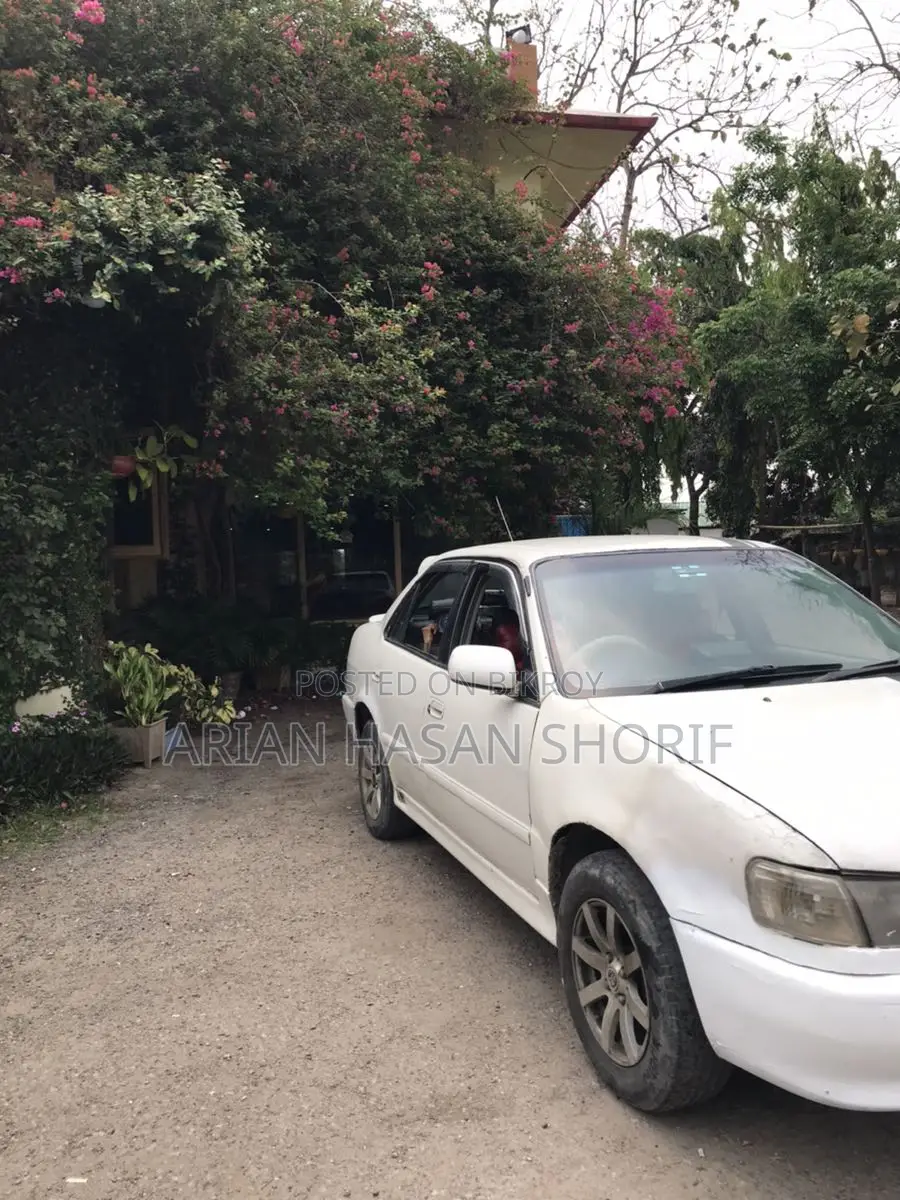 Toyota Corolla 1997