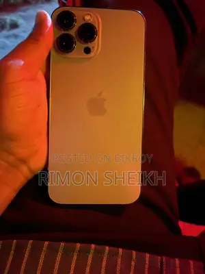 Apple iPhone 13 Pro Max . (Used)