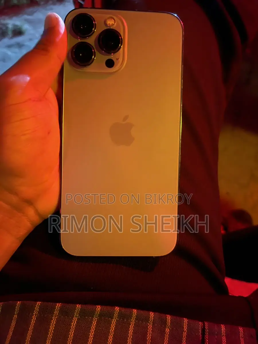 Apple iPhone 13 Pro Max . (Used)