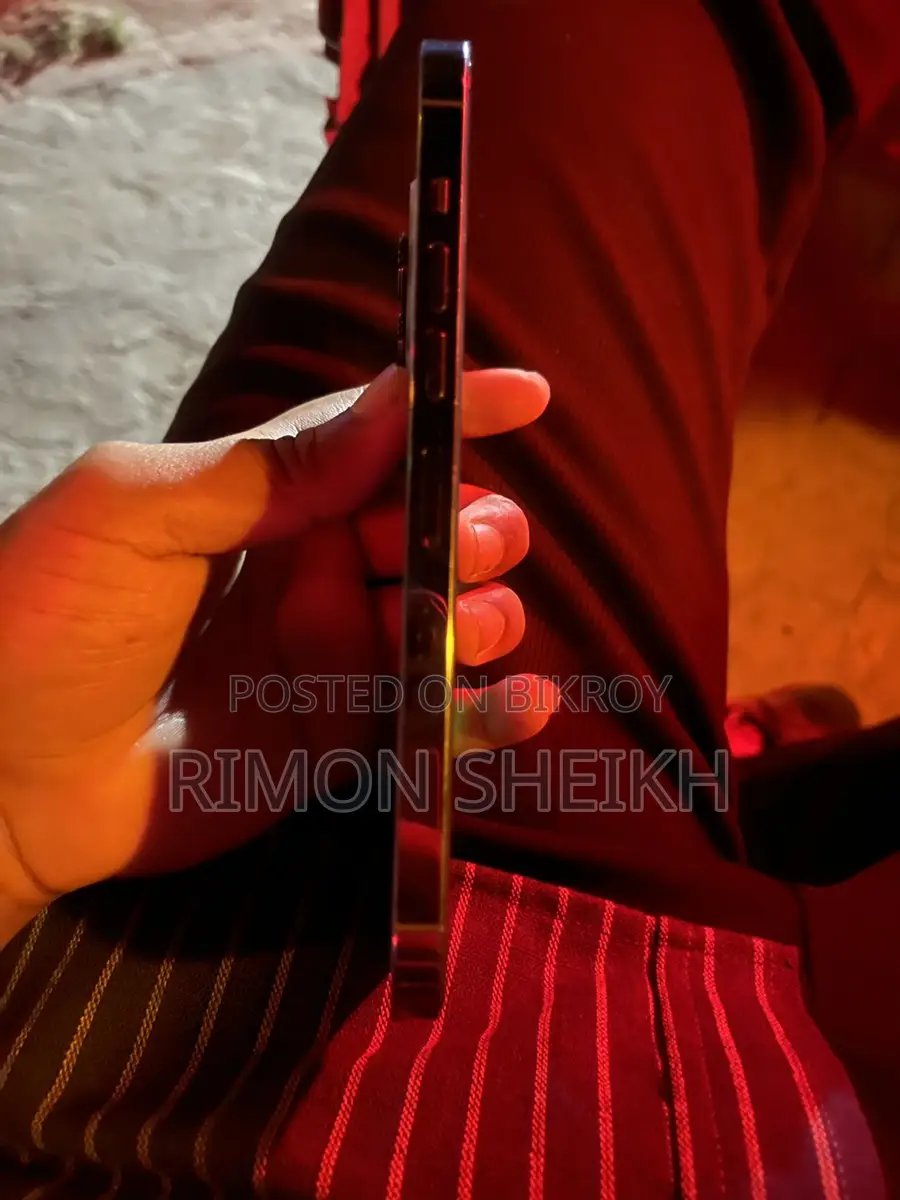 Apple iPhone 13 Pro Max . (Used)