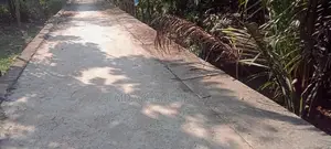 Urgent 🏡 Land for sale (Rajshahi City) directly from the owner