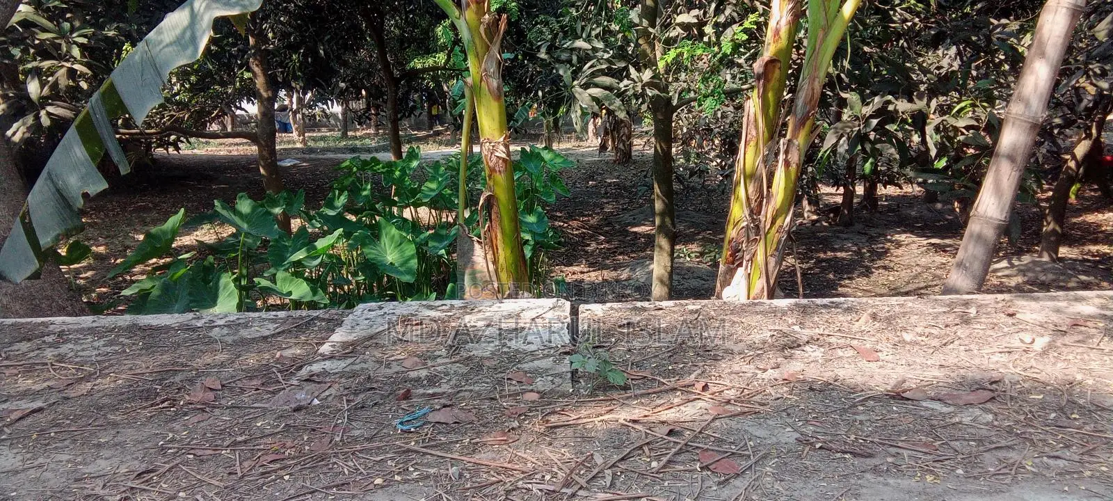 Urgent 🏡 Land for sale (Rajshahi City) directly from the owner