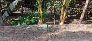 Urgent 🏡 Land for sale (Rajshahi City) directly from the owner