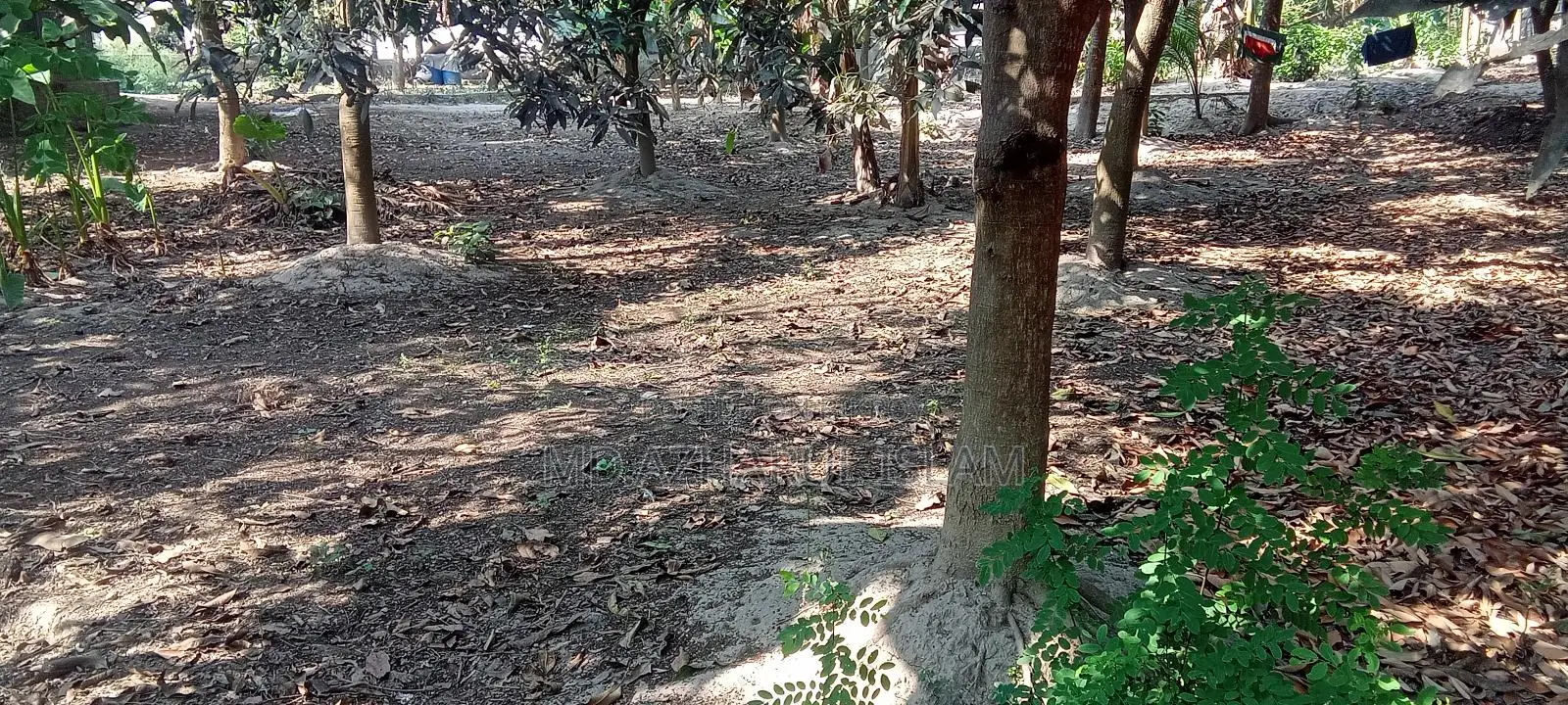 Urgent 🏡 Land for sale (Rajshahi City) directly from the owner