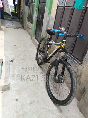 Phoenix Cycle