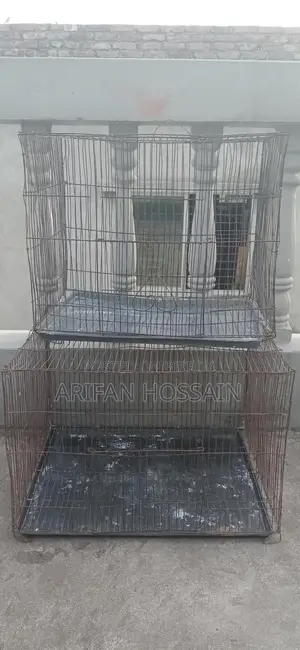 পুরাতন খাঁচা