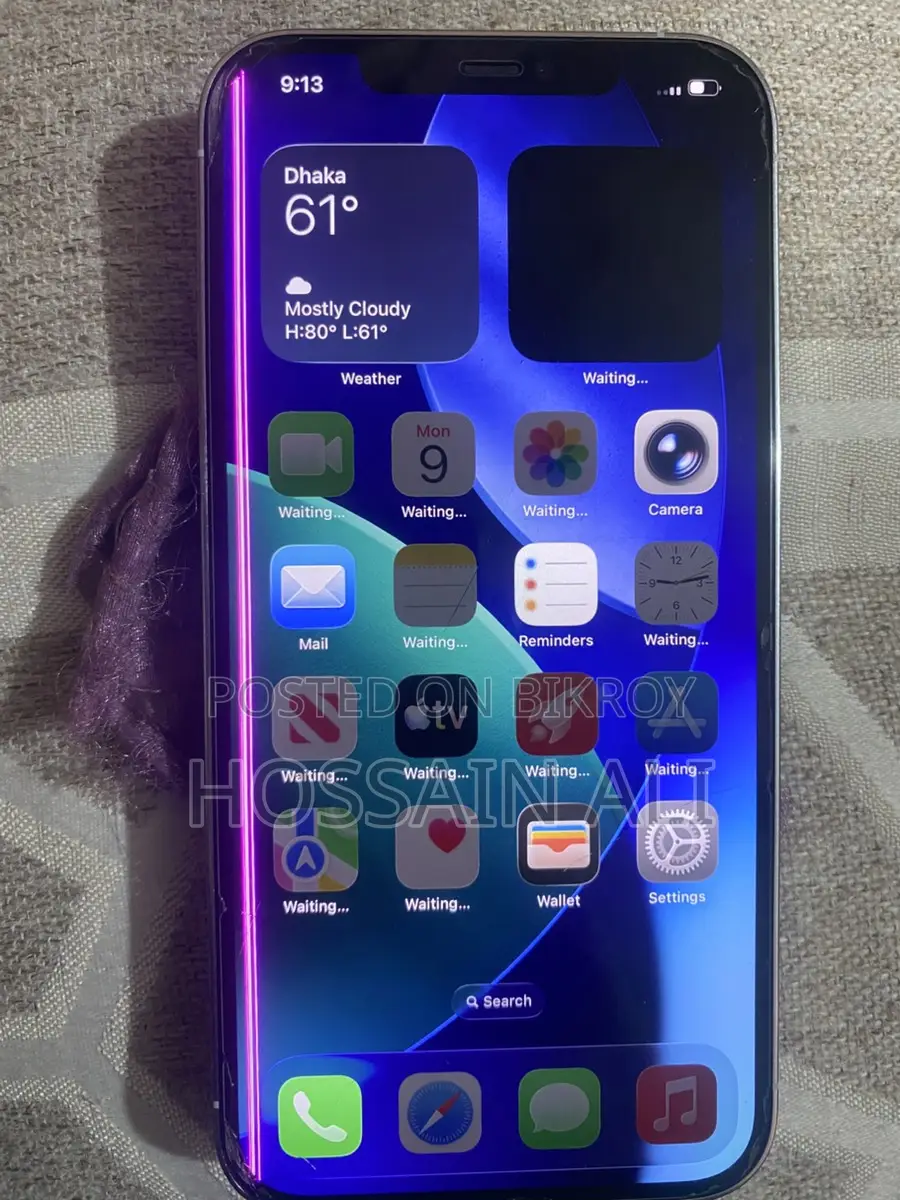 Apple iPhone 12 Pro Max 256GB (Used)