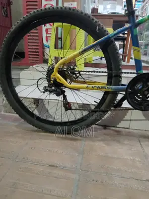 Bicycle for Sale - Ready to Ride