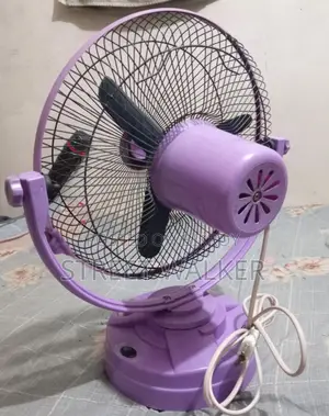 Rahman R-1 Exclusive Auto Moving 12 Inch Fan (used)