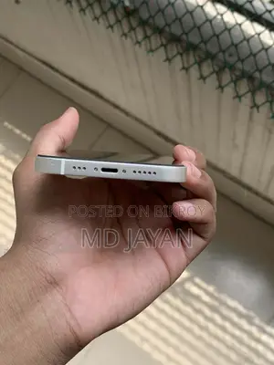 Apple iPhone 12 (Used)