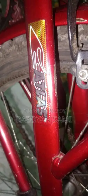 Bicycle For Sale
