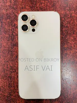 Apple iPhone 12 Pro Max (Used)