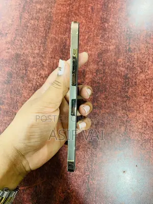 Apple iPhone 12 Pro Max (Used)
