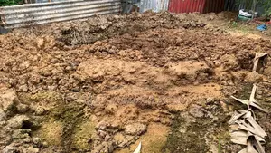 ছাদ বাগানের জন‍্য গোবর