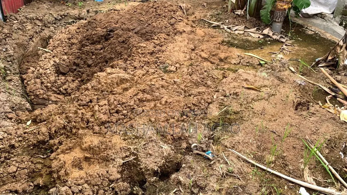 Cow Dung for Roof Garden