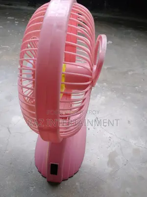 Rechargeable Fan