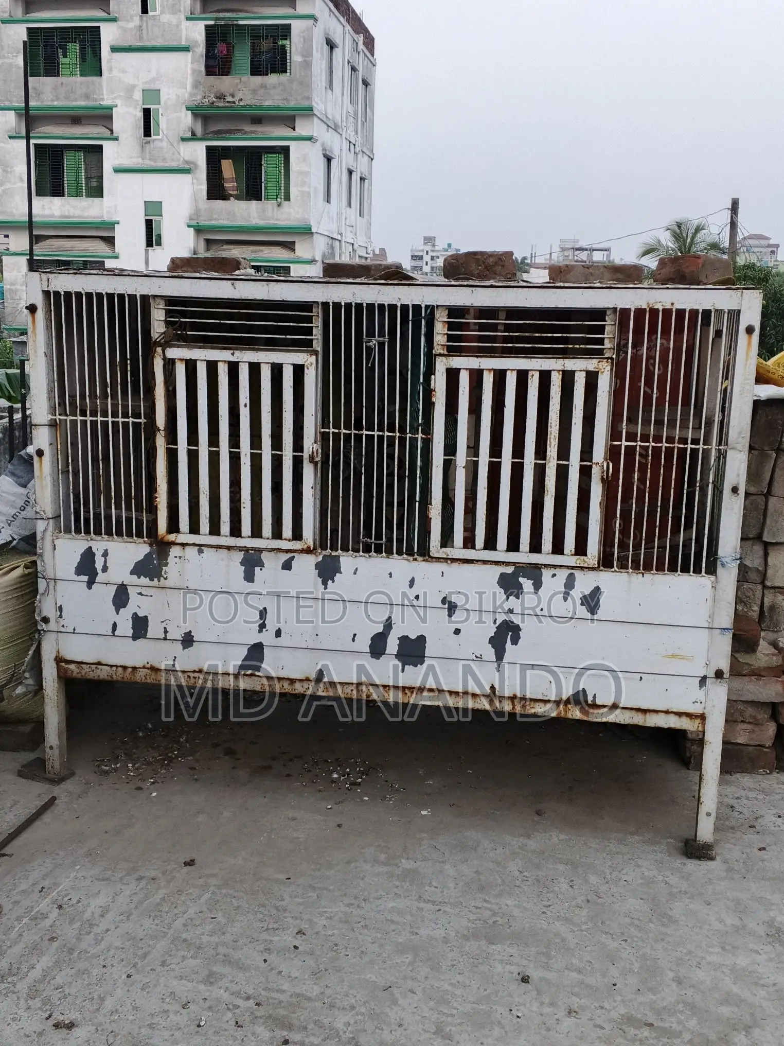 কবুতরের ধাপরি