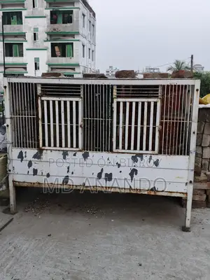কবুতরের ধাপরি