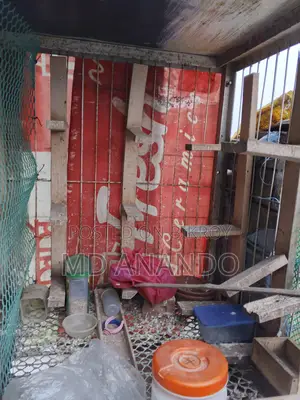 কবুতরের ধাপরি