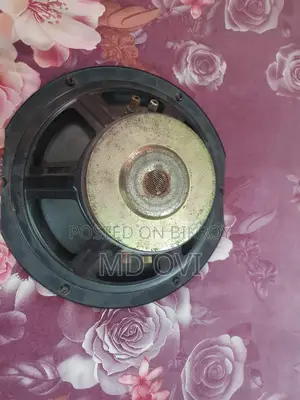 12" Response Subwoofer 2p