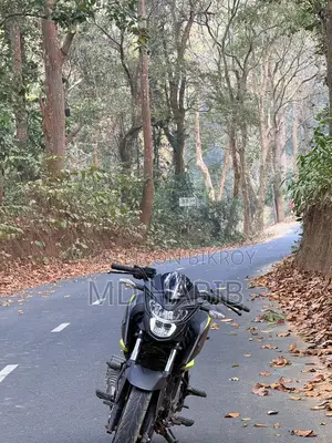Honda Hornet 2021