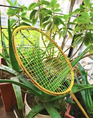 Chishengdi Badminton Racket