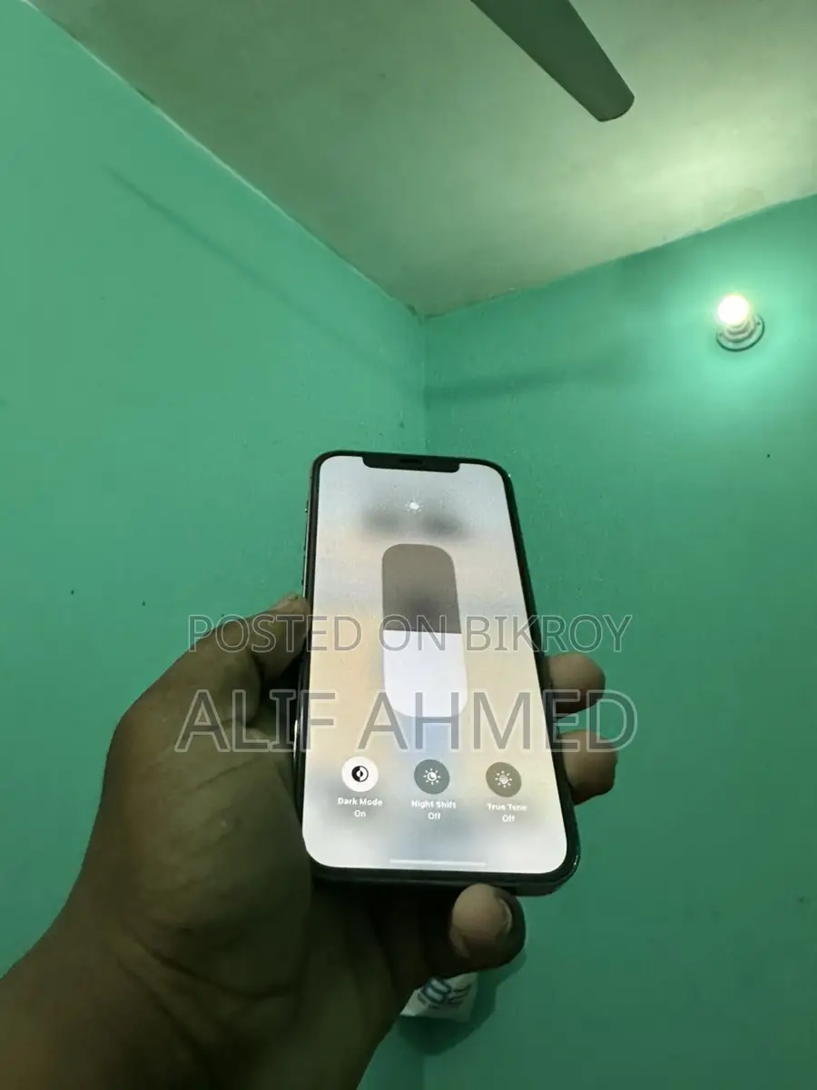 Apple iPhone 12 Pro (Used)