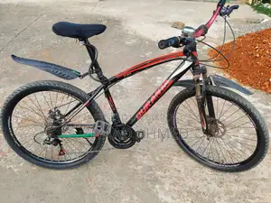 Bicycle for sale