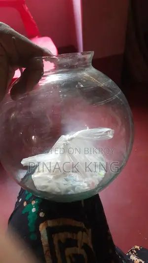 ফিশ অ্যাকোয়ারিয়াম
