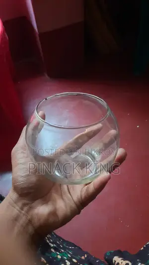 ফিশ অ্যাকোয়ারিয়াম