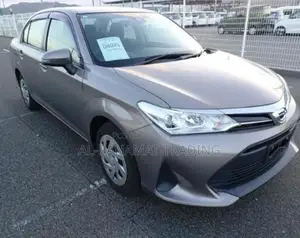 Toyota Corolla AXIO EX PKG BRONZE 2020