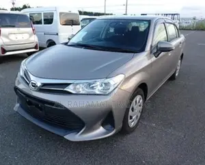 Toyota Corolla AXIO EX PKG BRONZE 2020