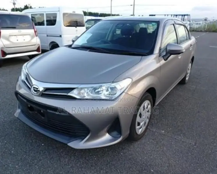 Toyota Corolla AXIO EX PKG BRONZE 2020